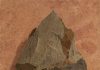Refractory mine chepo